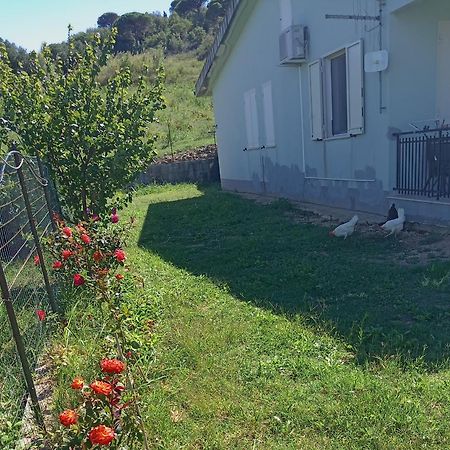Villetta San Giovanni Calatafimi Exteriér fotografie
